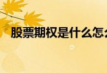 股票期权是什么怎么开户 股票期权是什么