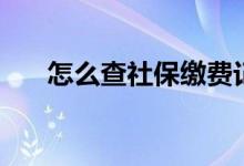 怎么查社保缴费记录 断交有什么影响 