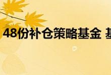 48份补仓策略基金 基金48次补仓法什么意思