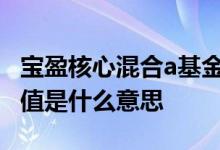 宝盈核心混合a基金净值估值 基金的净值和估值是什么意思