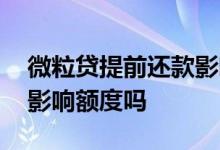 微粒贷提前还款影响房贷吗 微粒贷提前还款影响额度吗