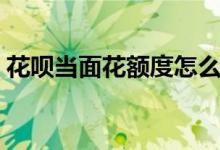 花呗当面花额度怎么查（花呗当面花怎么用）