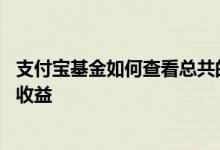 支付宝基金如何查看总共的月收益 支付宝基金怎么查看每月收益
