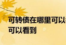 可转债在哪里可以看到转股价 可转债在哪里可以看到