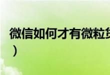 微信如何才有微粒贷（可以尝试一下这些方法）