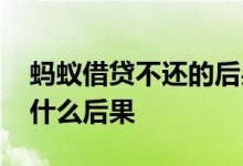 蚂蚁借贷不还的后果 阿里信用贷款不还会有什么后果
