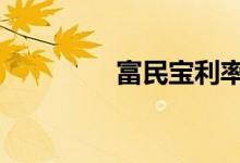 富民宝利率 富民宝安全吗