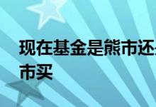 现在基金是熊市还是牛市 基金熊市买还是牛市买