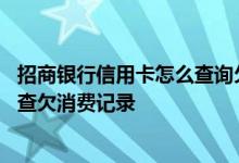 招商银行信用卡怎么查询欠款总额 招商银行信用卡怎么网上查欠消费记录