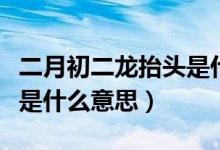 二月初二龙抬头是什么意思（二月初二龙抬头是什么意思）