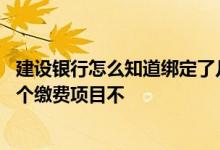 建设银行怎么知道绑定了几个账户 建设银行：我可以绑定多个缴费项目不