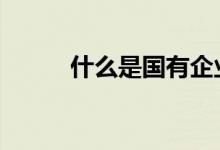 什么是国有企业 什么是国内期货