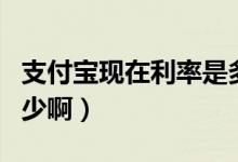 支付宝现在利率是多少（支付宝现在利率是多少啊）