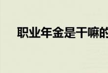 职业年金是干嘛的 职业年金是干什么的
