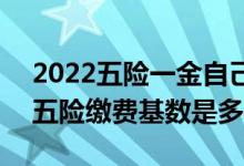2022五险一金自己交多少钱一个月 2022年五险缴费基数是多少 