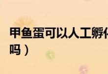 甲鱼蛋可以人工孵化吗（甲鱼蛋可以自然孵化吗）