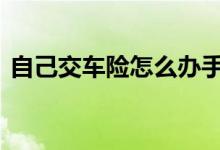 自己交车险怎么办手续 自己报车险怎么处理