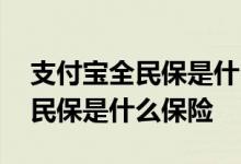 支付宝全民保是什么时候开始有的 支付宝全民保是什么保险
