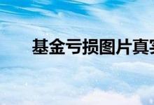 基金亏损图片真实 基金亏损怎么显示
