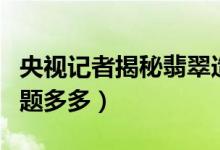 央视记者揭秘翡翠造假（多名游客所买翡翠问题多多）