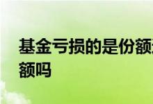 基金亏损的是份额还是净值 基金亏损的是份额吗