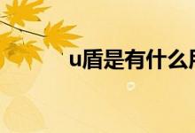 u盾是有什么用处 U盾有什么用