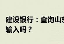 建设银行：查询山东齐鲁晚报的指令可以小写输入吗？