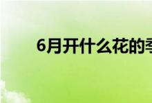 6月开什么花的季节（6月开什么花）