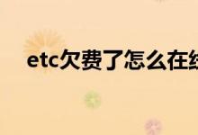 etc欠费了怎么在线上补 ETC欠费怎么还