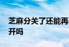 芝麻分关了还能再开吗 芝麻分不涨能关闭重开吗