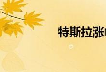 特斯拉涨幅扩大至10%