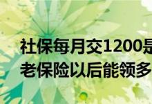 社保每月交1200是几档 一个月交1000的养老保险以后能领多少 