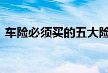 车险必须买的五大险种 车险一般购买的险种