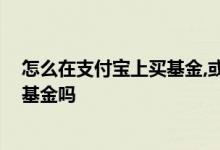 怎么在支付宝上买基金,或定期理财 在支付宝上可以买定期基金吗