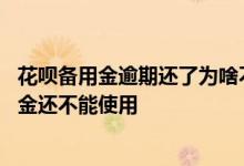 花呗备用金逾期还了为啥不能用 花呗逾期恢复后为什么备用金还不能使用