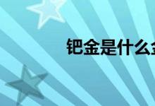 钯金是什么金 钯金是什么金