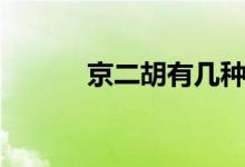 京二胡有几种（京二胡是什么）