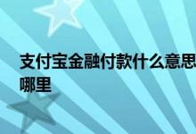 支付宝金融付款什么意思 支付宝金融简单说是什么 入口在哪里