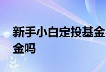 新手小白定投基金买几种 小白能长期定投基金吗