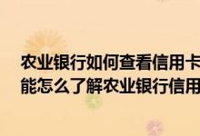 农业银行如何查看信用卡账单 除了查看信用卡对账单 我还能怎么了解农业银行信用卡的账单明细