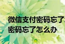 微信支付密码忘了怎么办最好办法 微信支付密码忘了怎么办