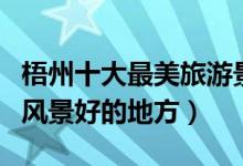梧州十大最美旅游景点（梧州最美的地方梧州风景好的地方）