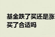 基金跌了买还是涨了买 基金涨了就卖跌了就买了合适吗
