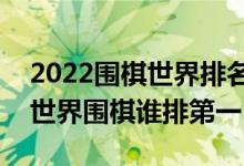 2022围棋世界排名（最新世界围棋棋手排名世界围棋谁排第一）