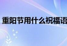 重阳节用什么祝福语（重阳节表达什么祝愿）