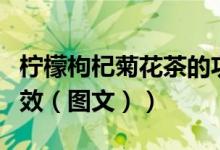 柠檬枸杞菊花茶的功效（柠檬枸杞菊花茶的功效（图文））