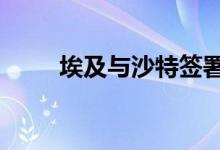 埃及与沙特签署77亿美元投资协议