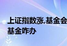 上证指数涨,基金会涨吗 上证指数暴跌持有的基金咋办