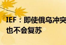 IEF：即使俄乌冲突刺激市场2022年石油投资也不会复苏