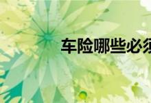 车险哪些必须买哪些不必买？